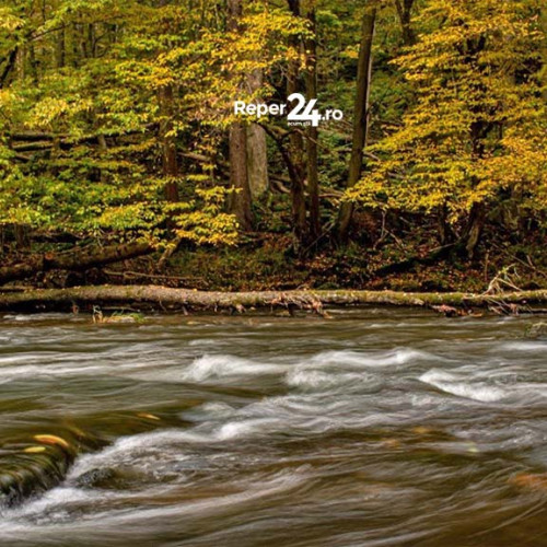 Rewilding Romania primește un grant de 74.700 euro pentru conservarea faunei sălbatice