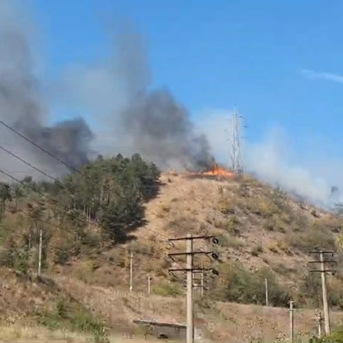 Incendiu devastator în zona Cilnic