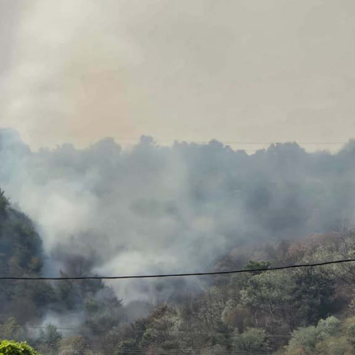 Incendiu pe un deal în zona Călnic – Pompierii militari intervin