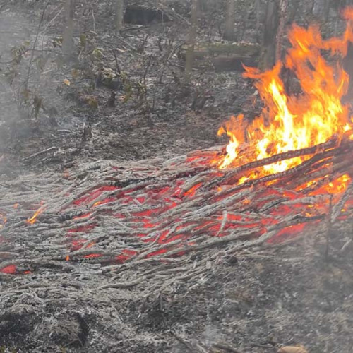 Incendiul din zona Lupac a fost stins, informează ISU Semenic