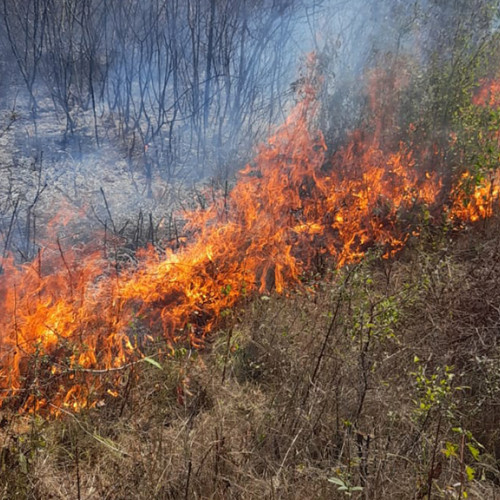 Incendii de vegetație în județul Caraș-Severin