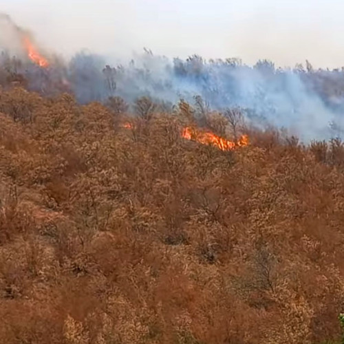 Pompierii cărășeni, solicitați să intervină la 13 incendii