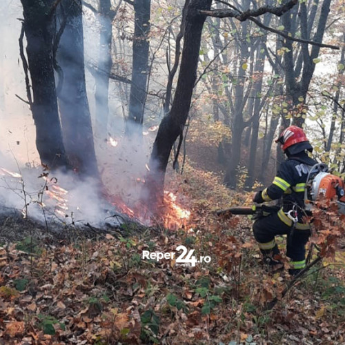 Incendiu de vegetație la Lapusnicu Mare