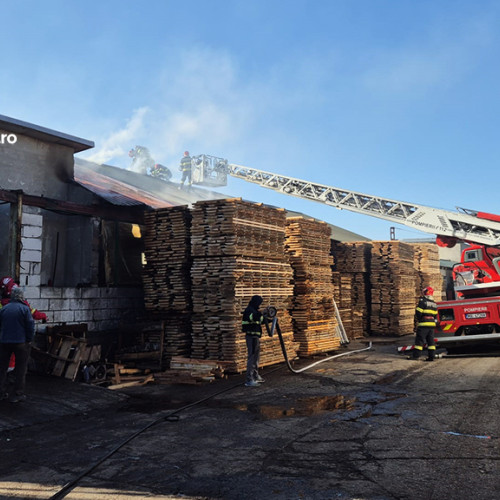 Incendiu la hala de cherestea din Bocșa