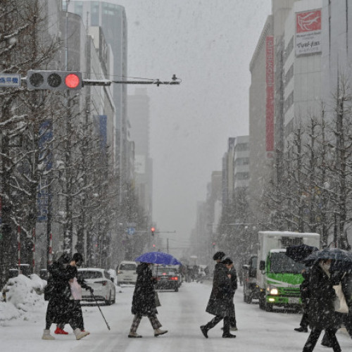 Ninsori record în nordul Japoniei: decese și avertismente meteo