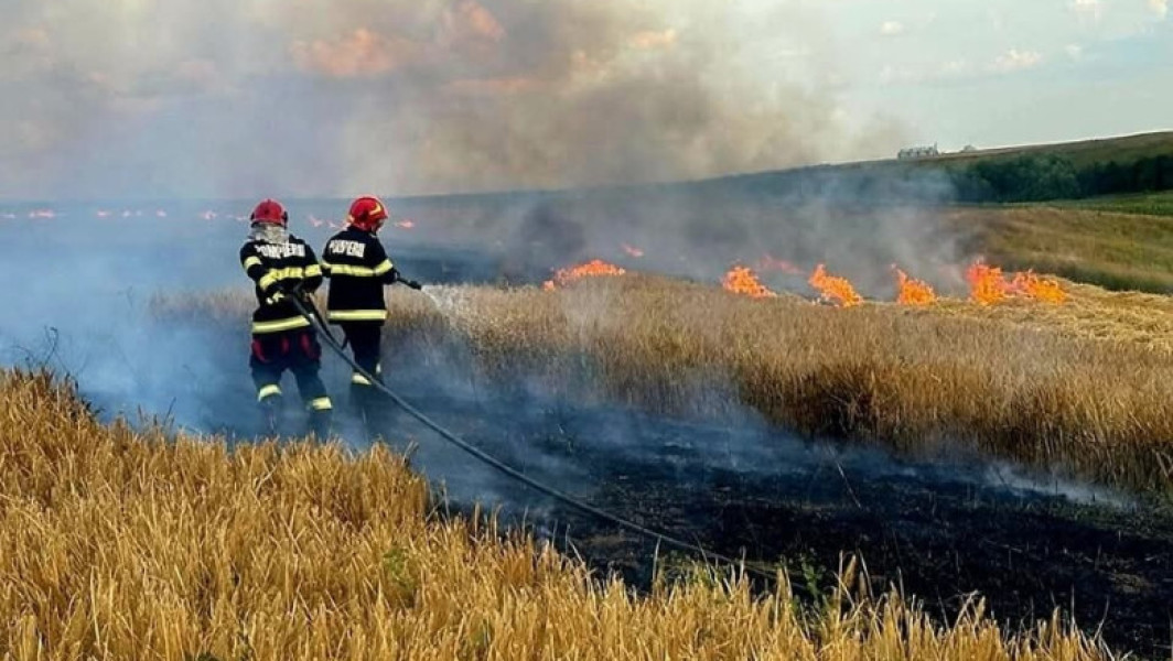 Foto Incendiile au făcut prăpăd în Argeș: sute de pomi fructiferi, 4 autovehicule și mai multe anexe gospodărești au ars