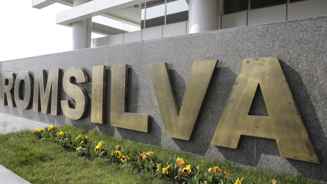 Control la Romsilva: pierderi financiare mari la șase direcții silvice, cinci ani la rând. Raportul a fost trimis Parchetului General