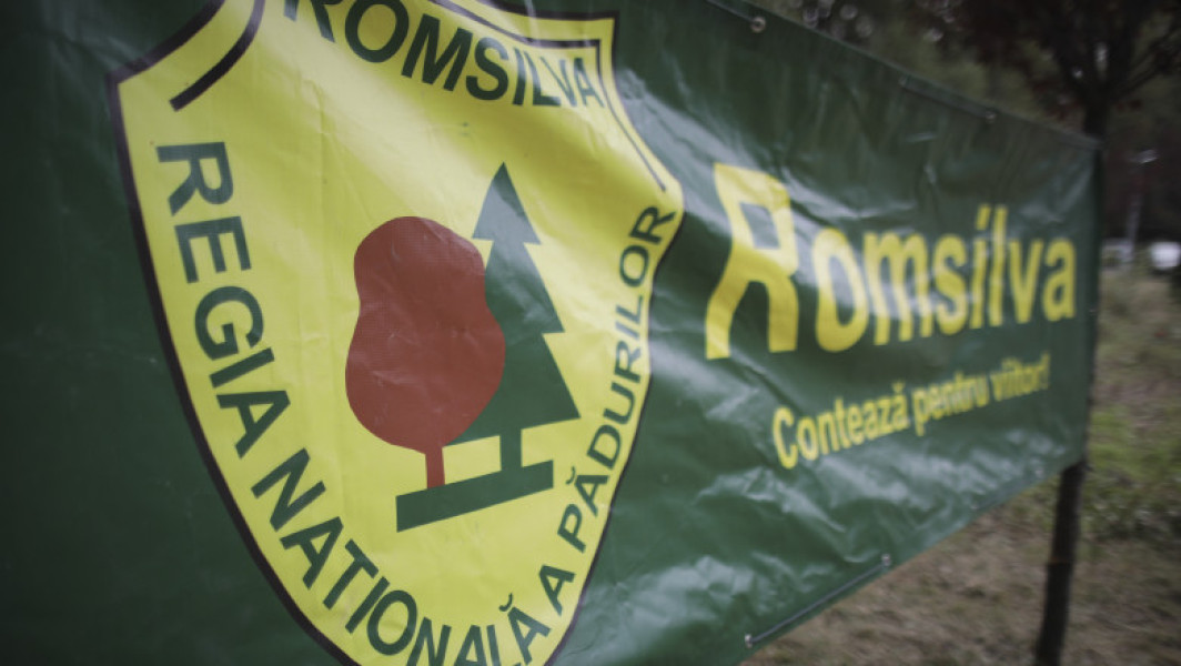 Blocaj în reforma Romsilva. Ministerul Justiției: Proiectul venit de la Mediu trebuie modificat. Buzoianu: „Sunt abia primii pași”