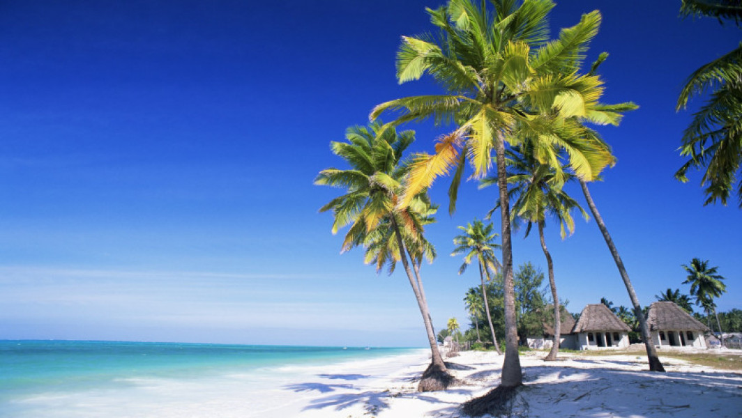 Peste 30 de persoane din Satu Mare, înșelate cu vacanțe fictive în Zanzibar. La cât se ridică prejudiciul