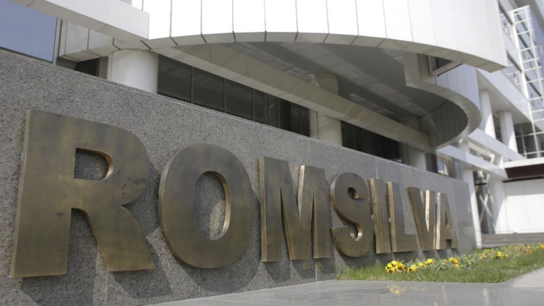 Diana Buzoianu a propus reducerea indemnizaţiei pentru membrii CA al Romsilva la mai puțin de jumătate din valoarea actuală