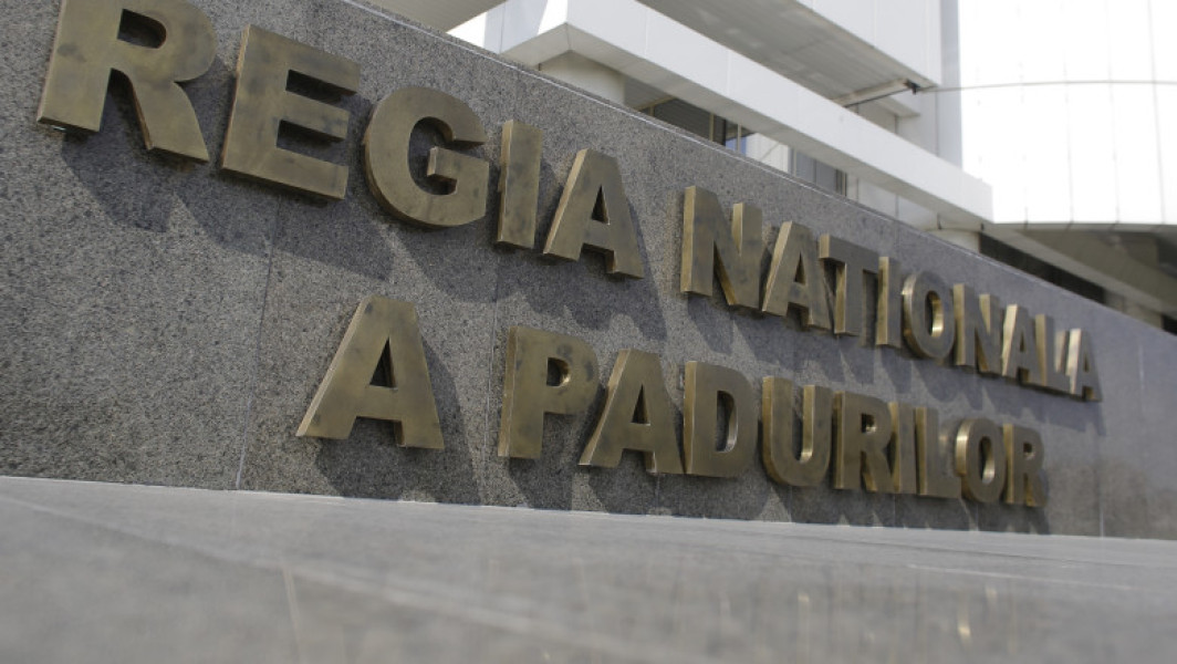 Dezbatere publică pentru selectarea conducătorului Romsilva