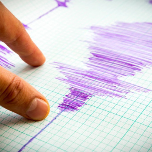 Cutremur în zona seismică Vrancea, anunță Institutul pentru Fizica Pământului