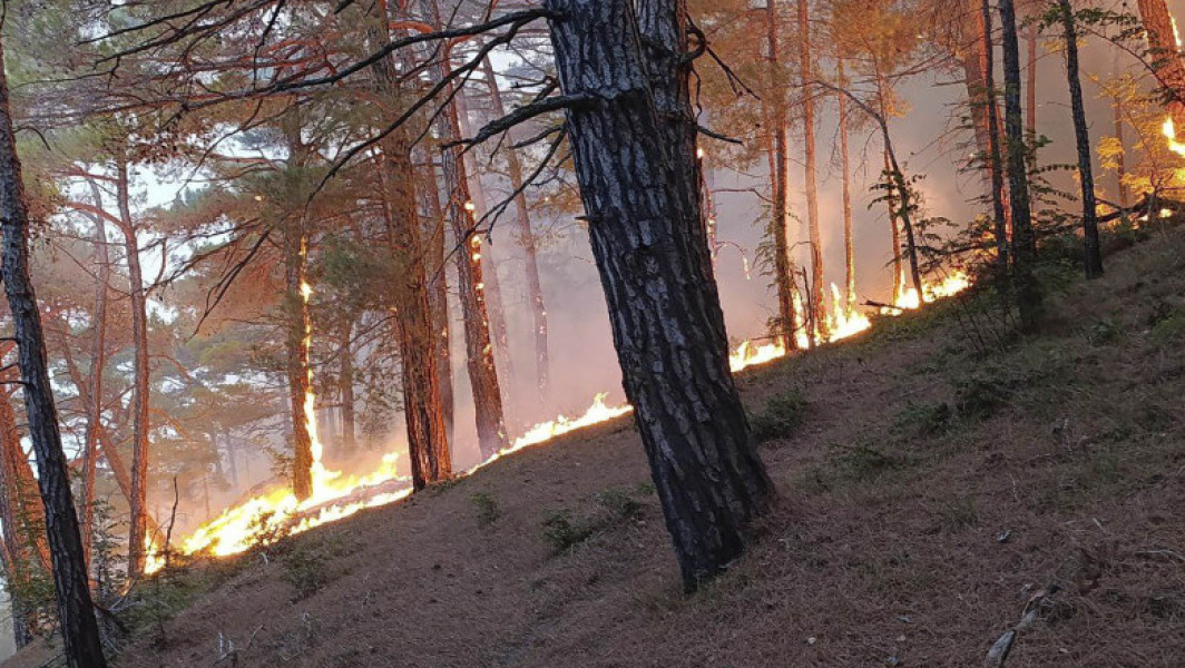 Incendiu de pădure în apropierea Ghelendjik după prăbușirea unei drone ucrainene