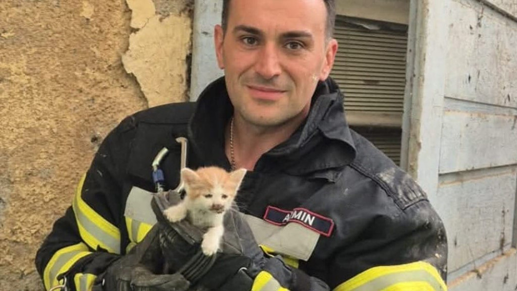 Pompierii din Reșița salvează un pui de pisică în pericol
