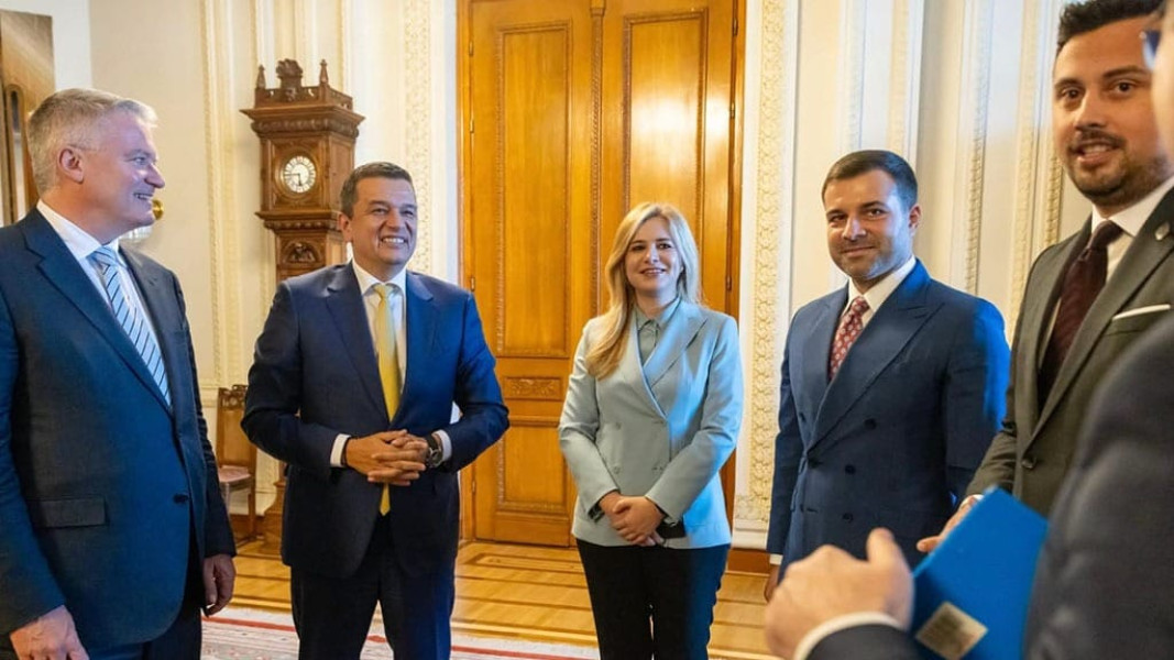 Deputata Mihalcea: aderarea României la OCDE, un obiectiv strategic major