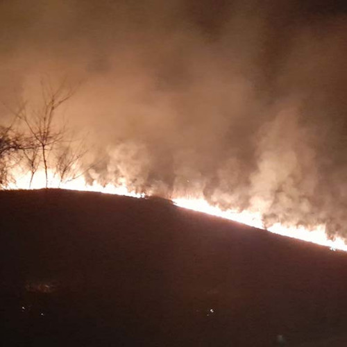 Mai mulți fermieri bănățeni în pericol din cauza incendiilor de vegetație în Caraș-Severin