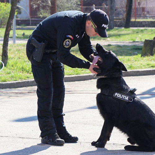 Polițiștii din Caraș-Severin, serbarea zilei lor cu activități festive în Parcul Tricolorului din Reșița