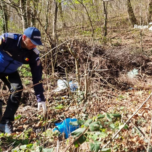 Jandarmii din Băile Herculane, alături de ecologizarea stațiunii